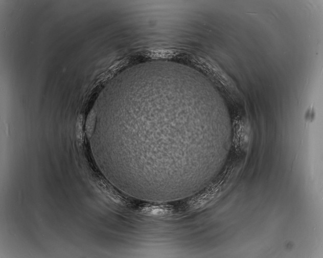 X0000098230655200805011258