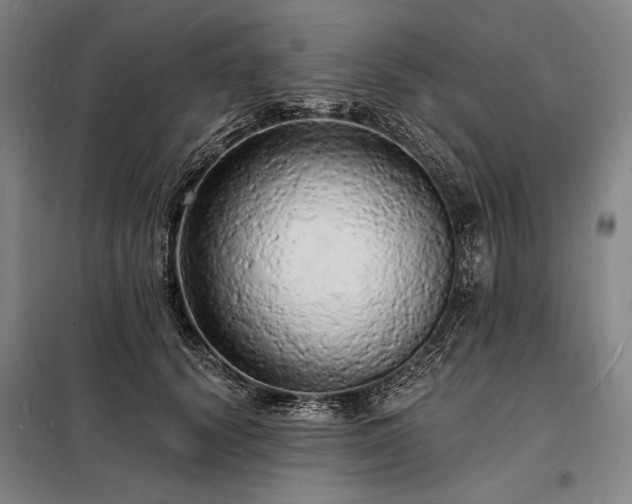 X0000098230656200805011258