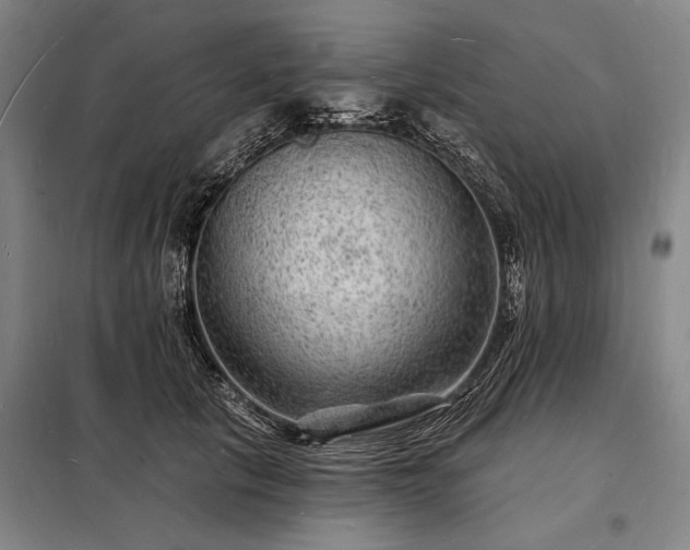 X0000098230657200805011258