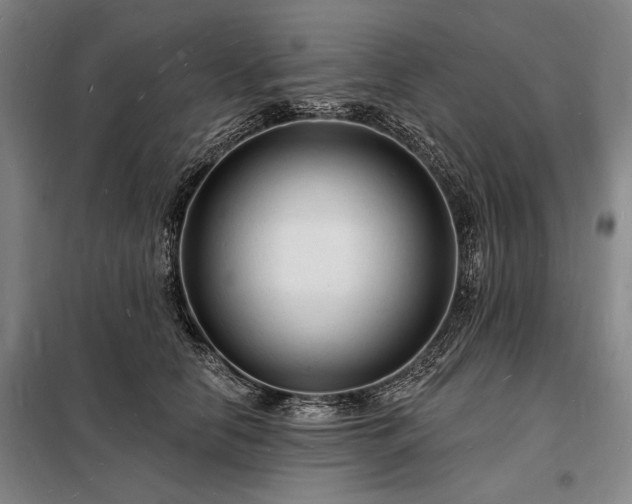 X0000098230658200805011258