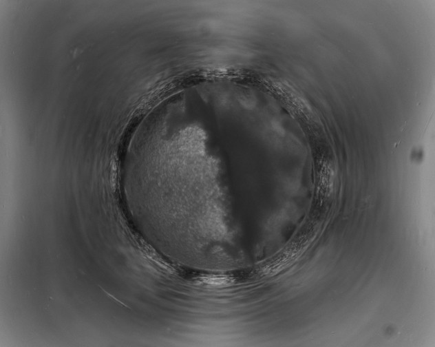 X0000098230659200805011258