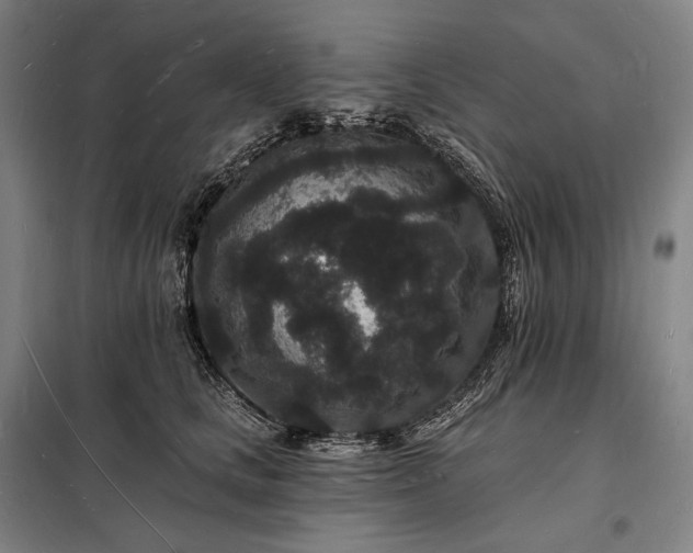 X0000098230661200805011258