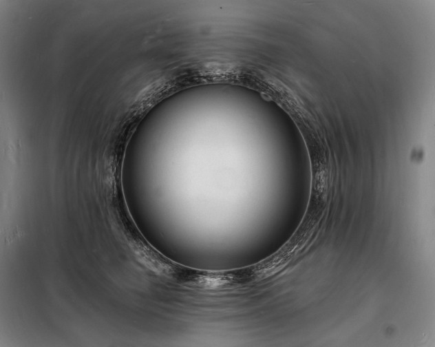 X0000098230662200805011258