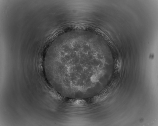 X0000098230663200805011258