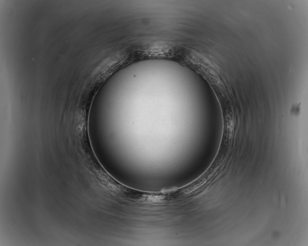 X0000098230665200805011258