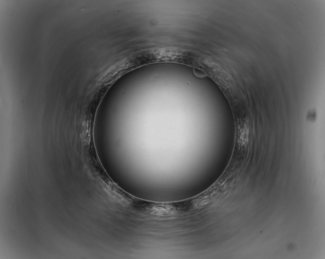 X0000098230666200805011258