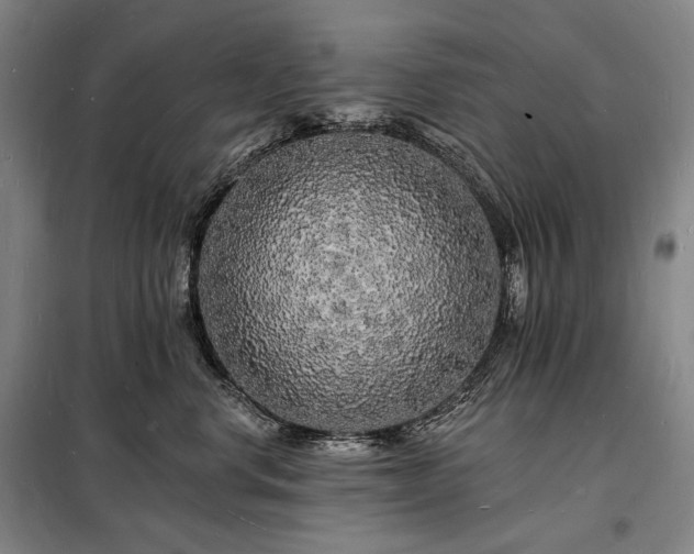 X0000098230668200805011259