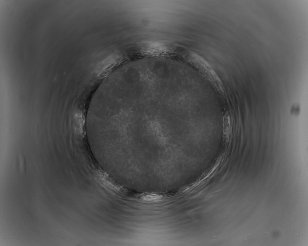 X0000098230669200805011259