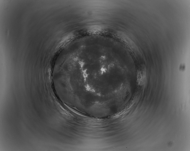 X0000098230670200805011259