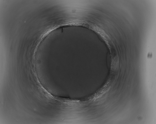 X0000098230673200805011258