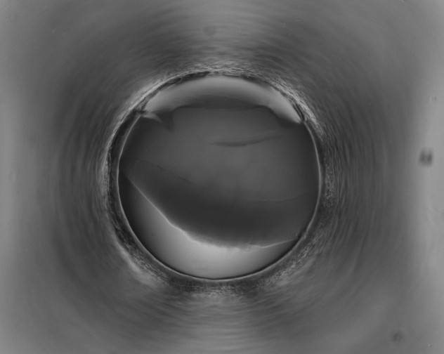 X0000098230674200805011258