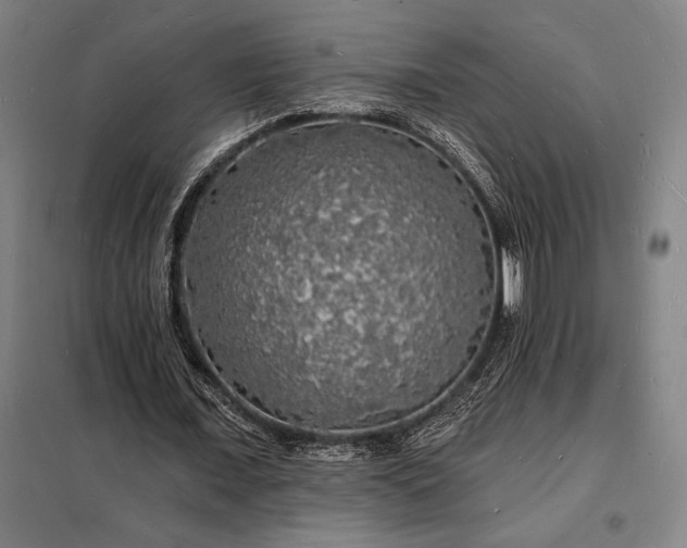 X0000098230675200805011258