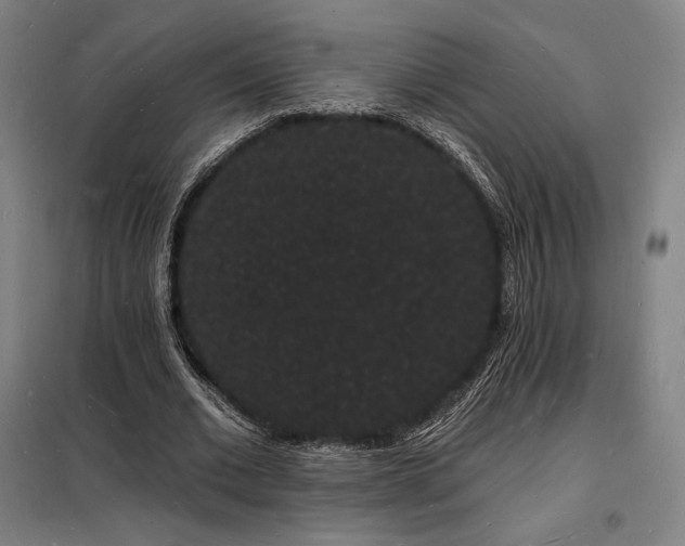 X0000098230677200805011258