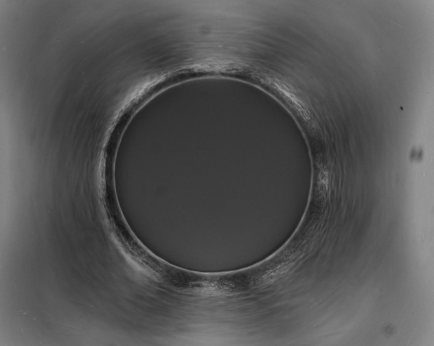 X0000098230678200805011258