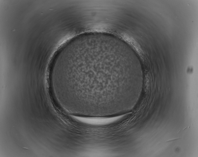 X0000098230680200805011258
