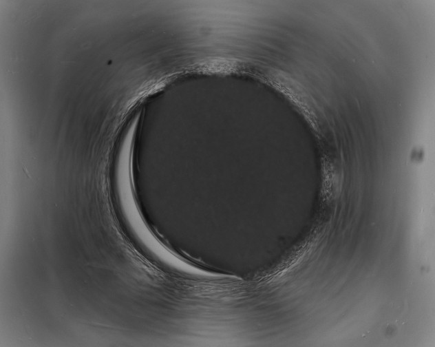X0000098230681200805011258