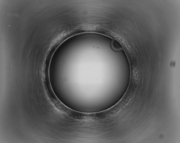 X0000098230682200805011258