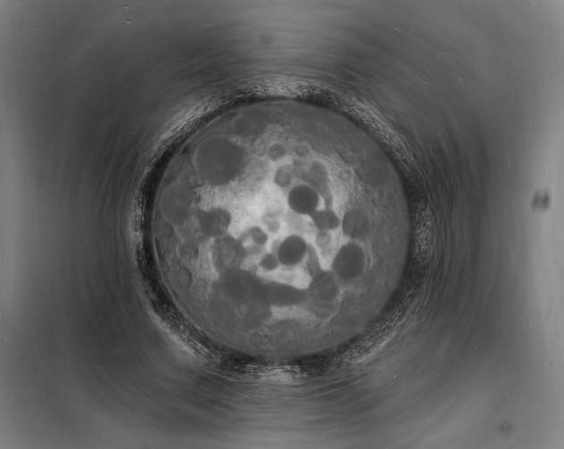 X0000098230683200805011258