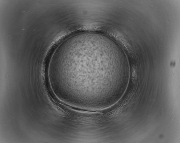 X0000098230684200805011258