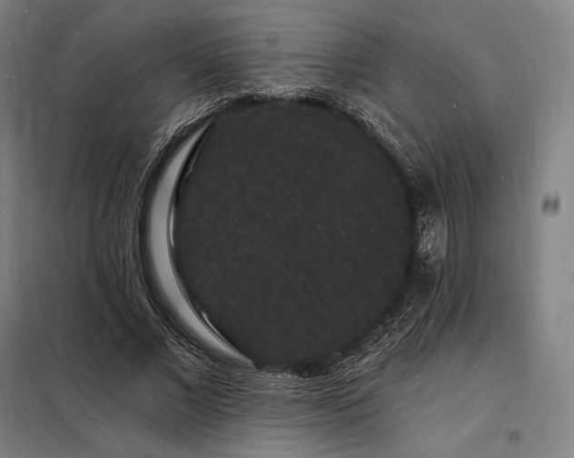 X0000098230685200805011258