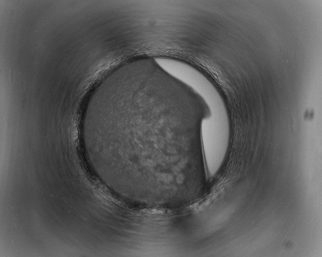 X0000098230687200805011258