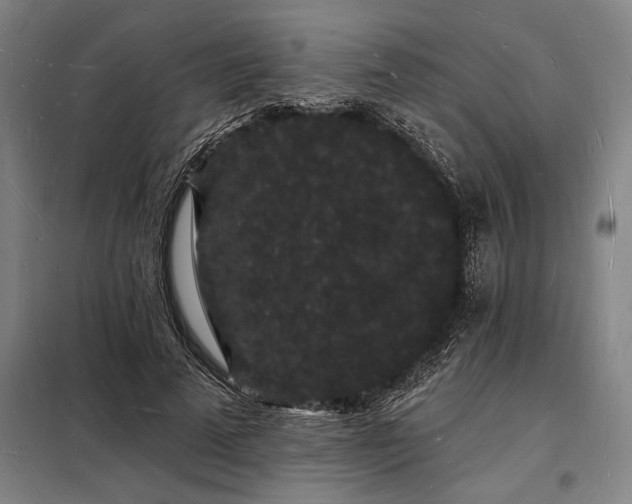 X0000098230689200805011258