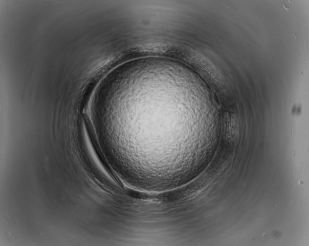 X0000098230692200805011258