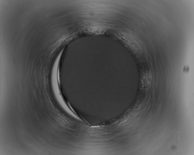 X0000098230693200805011258