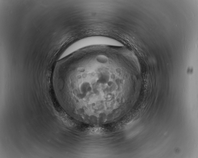 X0000098230695200805011258