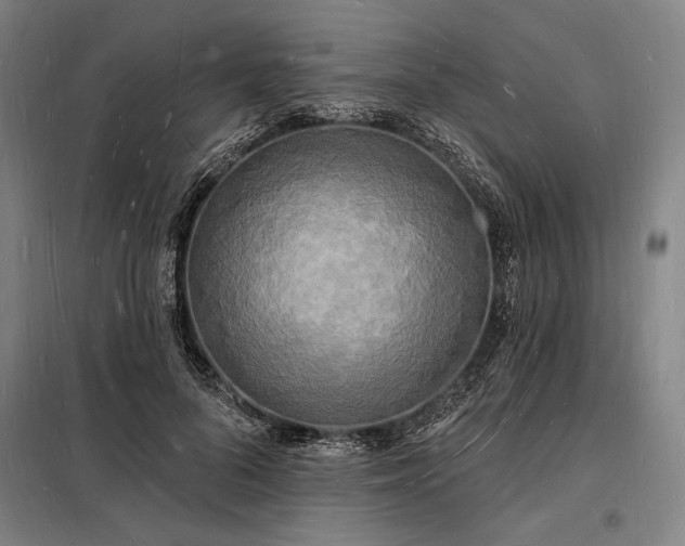 X0000098230696200805011258