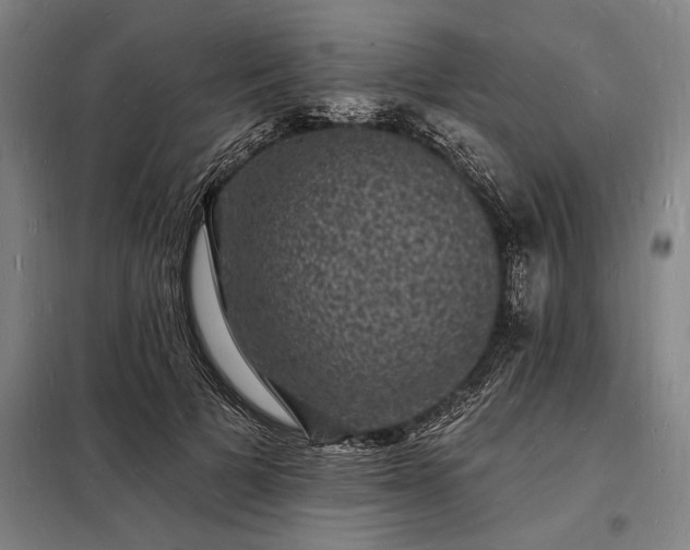 X0000098230697200805011257