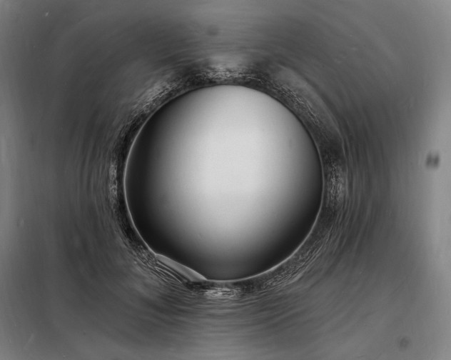 X0000098230700200805011257