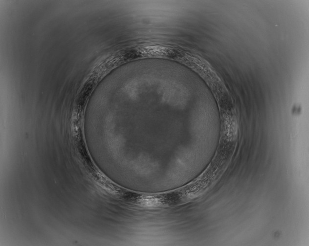 X0000098230701200805011257
