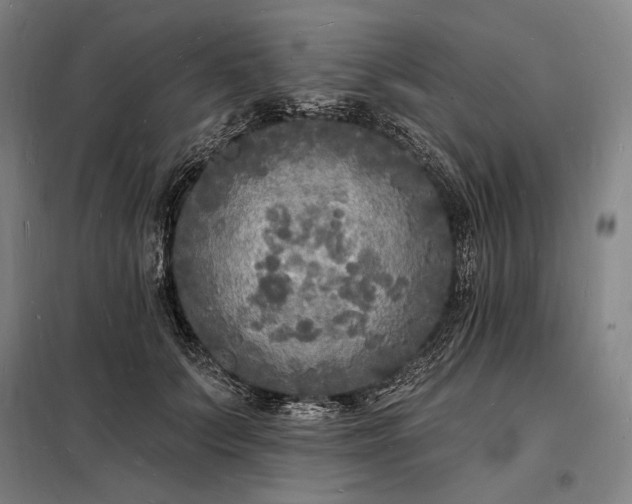 X0000098230703200805011257