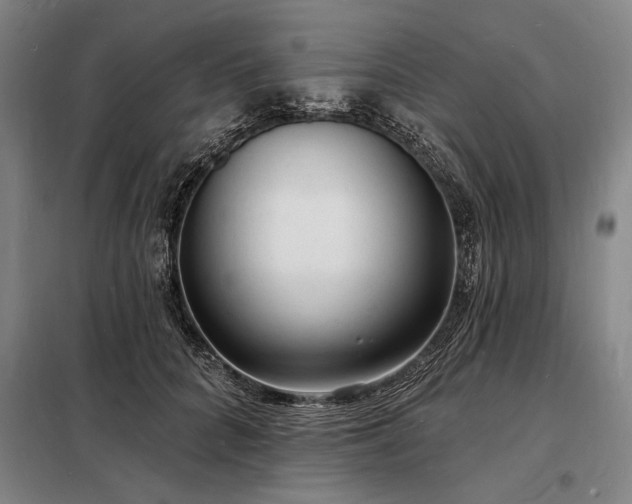 X0000098230704200805011257