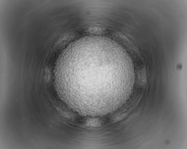 X0000098230705200805011257