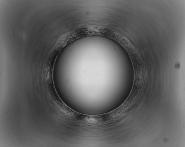 X0000098230706200805011257