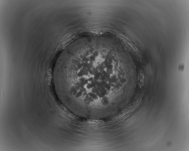 X0000098230707200805011257