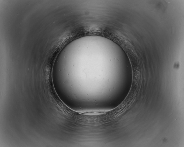 X0000098230708200805011257