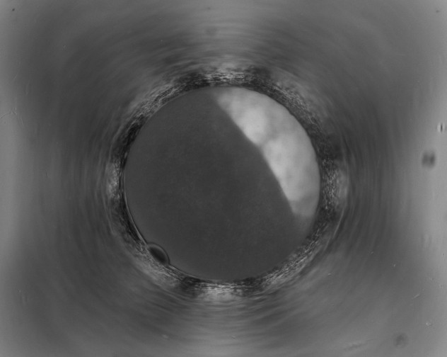 X0000098230709200805011257