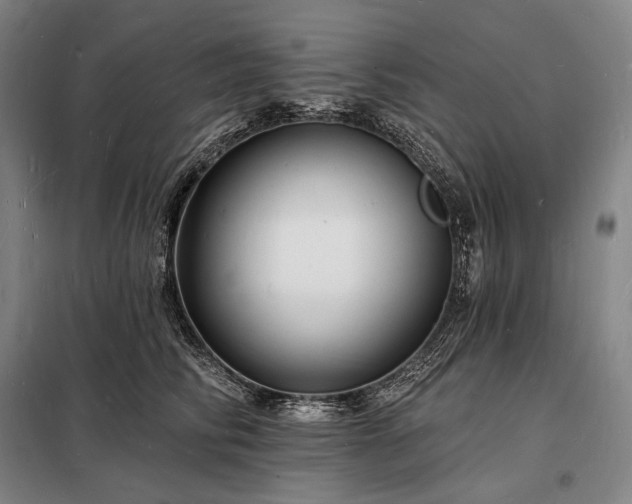 X0000098230710200805011257