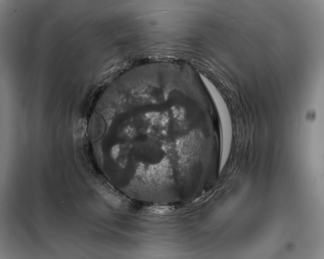 X0000098230711200805011257