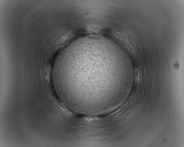 X0000098230712200805011257