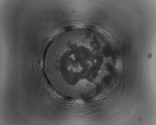 X0000098230715200805011257