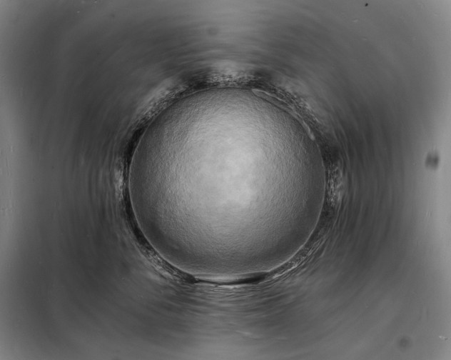 X0000098230716200805011257