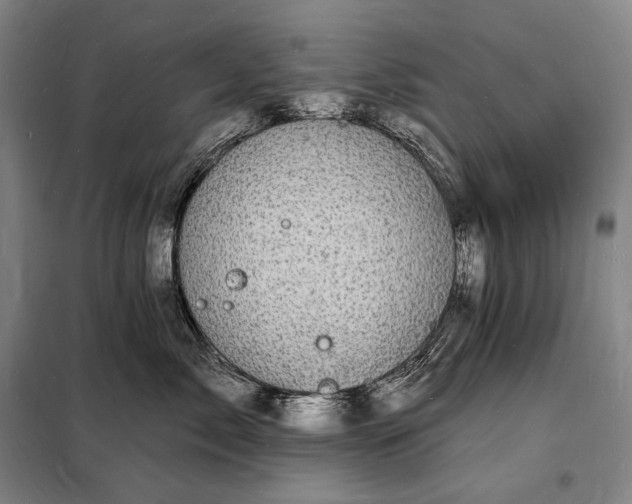 X0000098230717200805011257