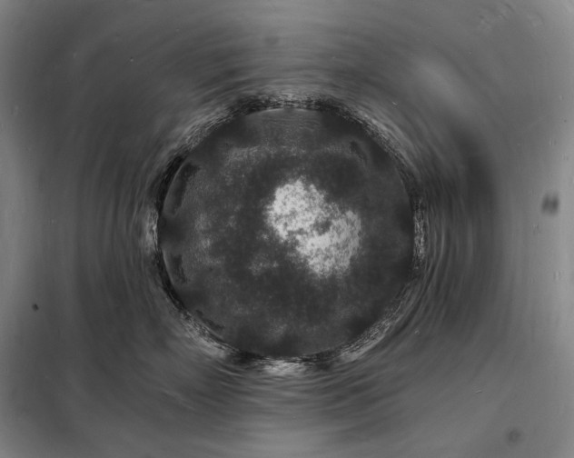 X0000098230718200805011257
