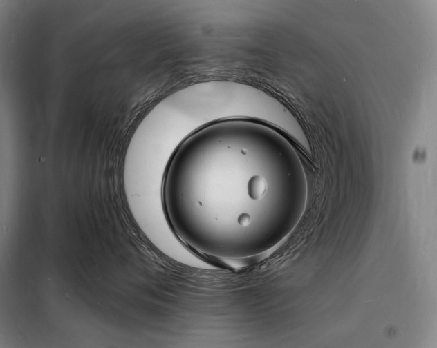 X0000098230720200805011257