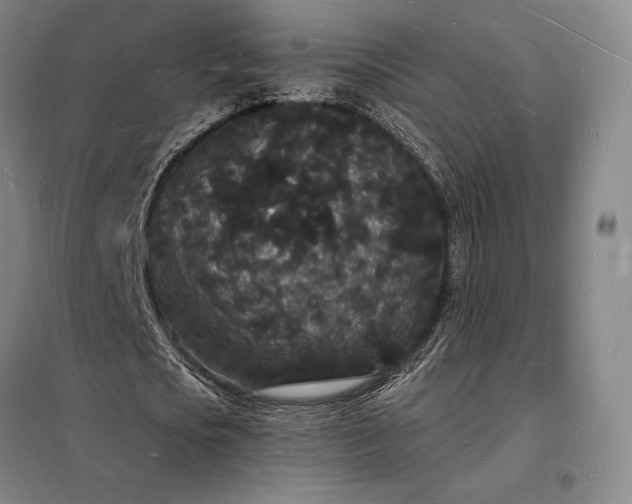 X0000098230721200805011256