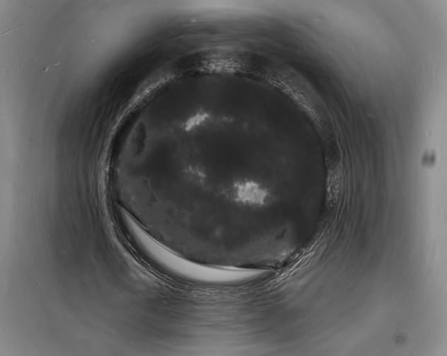 X0000098230722200805011256